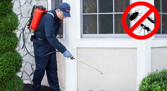 Yerköy Hamam Böceği İlaçlama böcek ilaçlama ve haşere kontrolü — ilaclama-tr.com